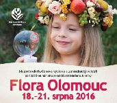Letn Flora Olomouc pot dny do startu