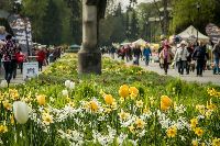 Jarn etapa kvtinov vstavy Flora Olomouc  s enormnm potem nvtvnk