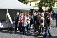 Ptka bez barir 2013